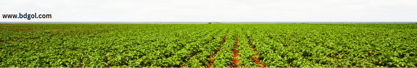 Agriculture Company