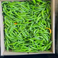 Fresh Indian Green Chilli