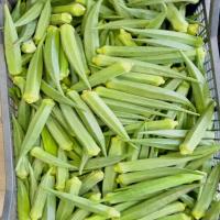 Fresh Indian Okra