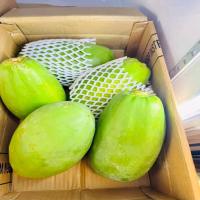 Fresh Brazelian Papaya