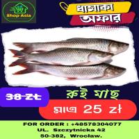 Fish