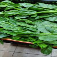fresh farm vegetable