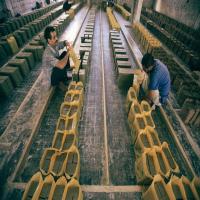 farming jobs