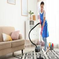 home cleaner