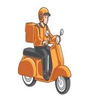 parcel carry service