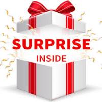 surprice gift