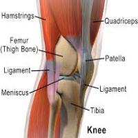 knee problem