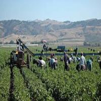 Farm & Agri Workers