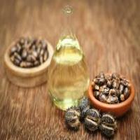 caster oil