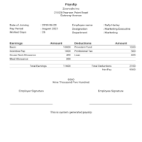 pay slip making